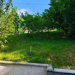 Hodzic Saraievo