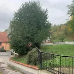 Hodzic *