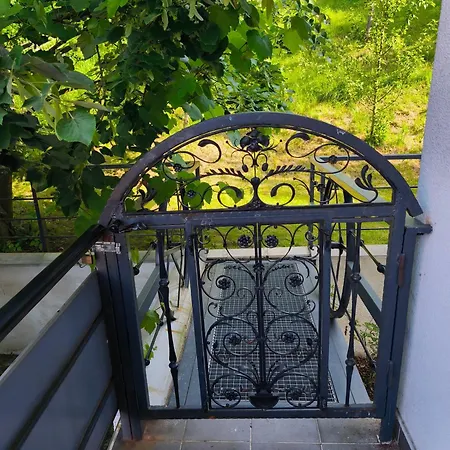 Hodzic * Сараево